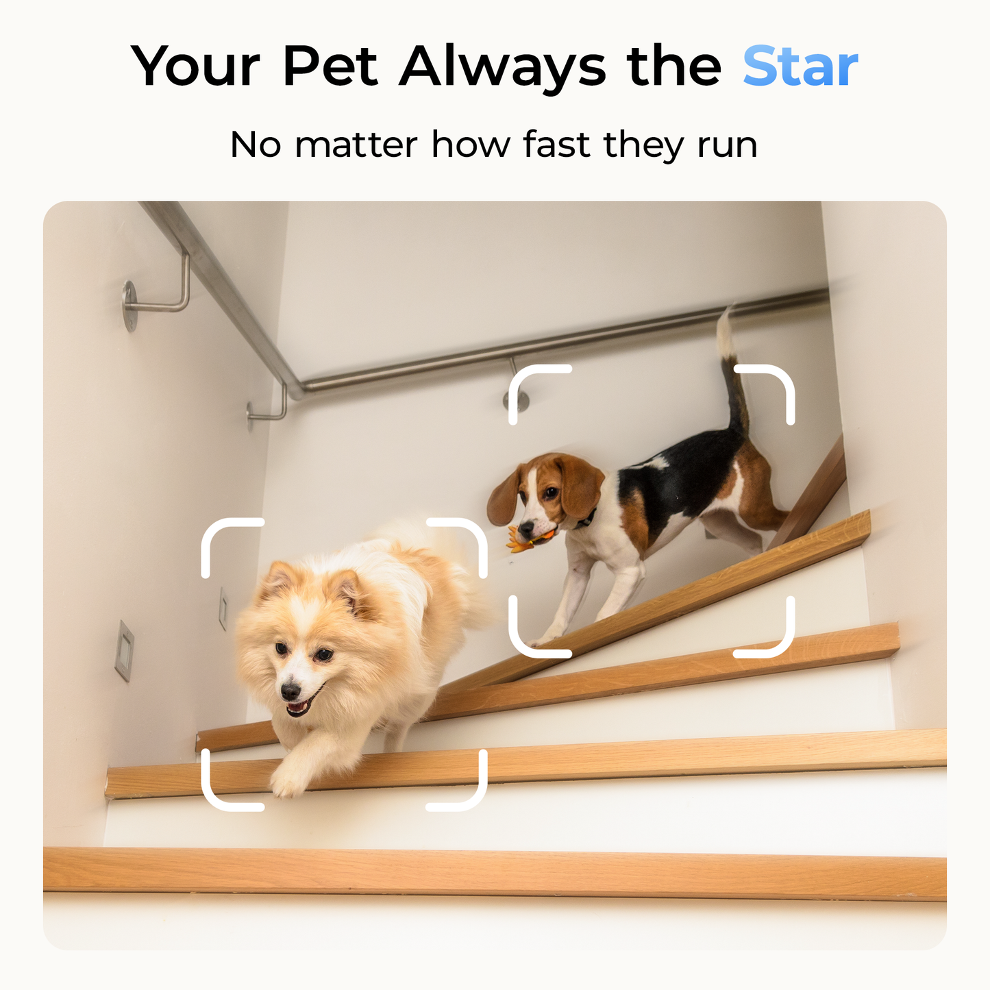 AI Pet Camera