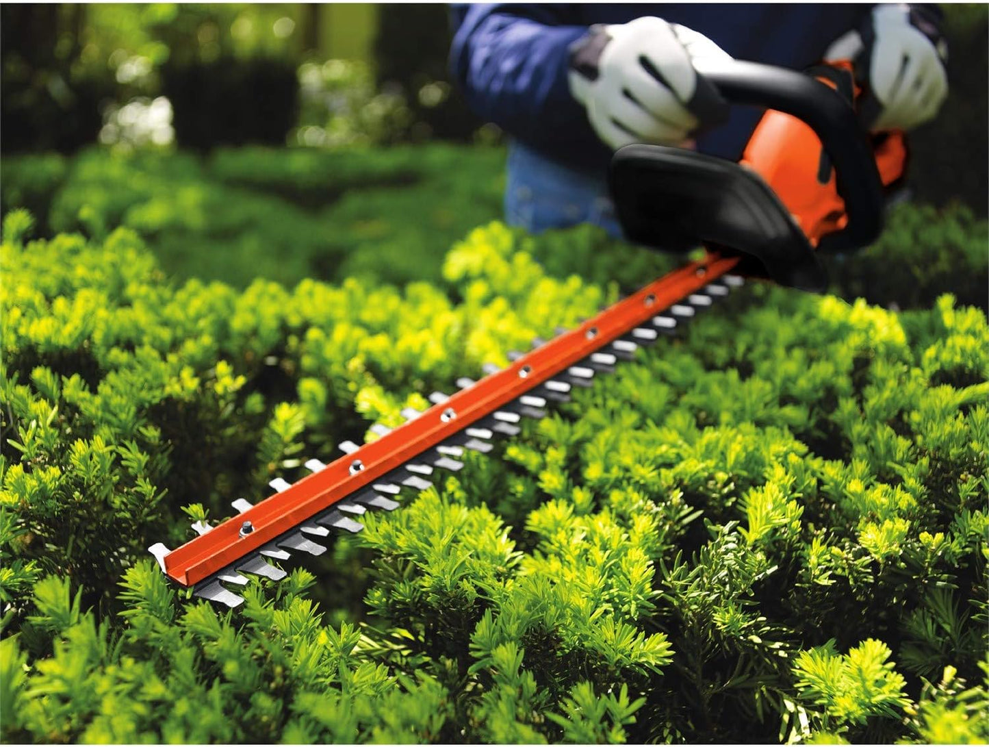 20V MAX Cordless Hedge Trimmer. 22 Inch Steel Blade. Reduced Vibration. Battery and Charger Included (LHT2220)